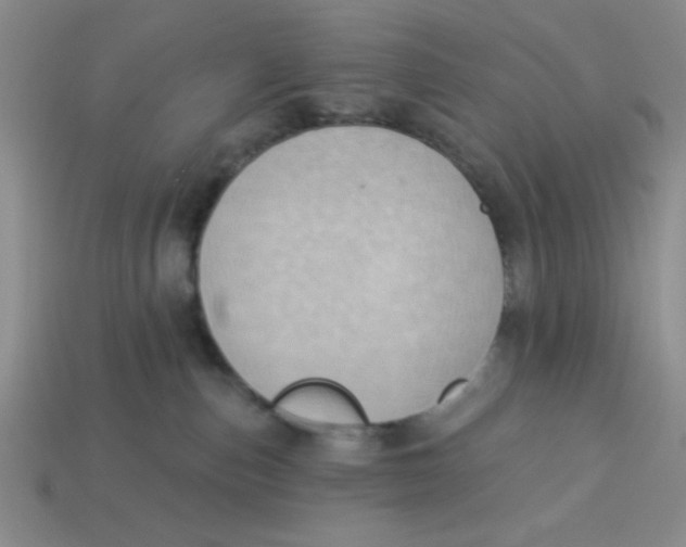 X0000113340187200910131226