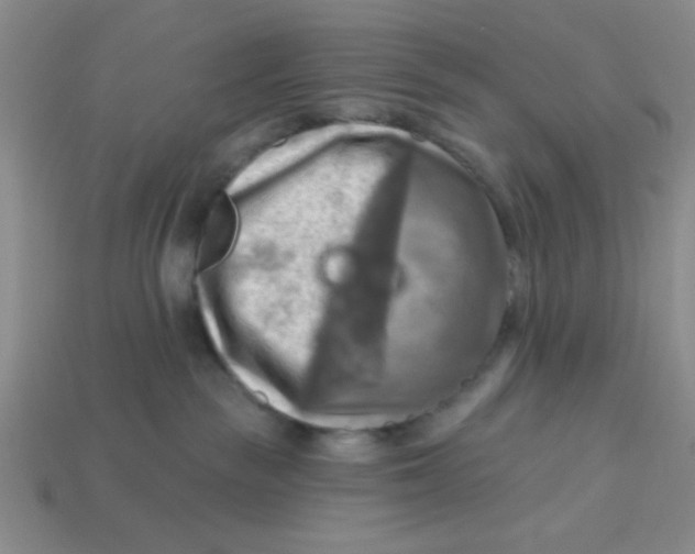 X0000113340189200910131226