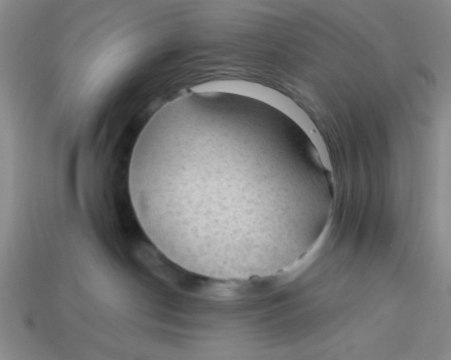X0000113340190200910131226