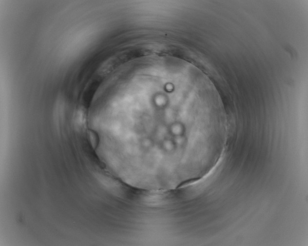 X0000113340191200910131226