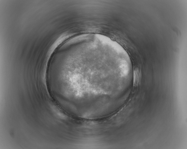 X0000113340195200910131226