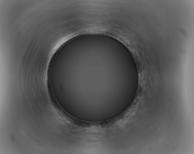 X0000113340196200910131225