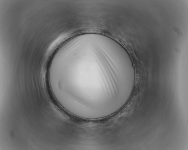 X0000113340197200910131225