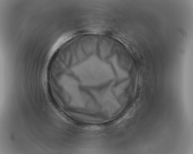 X0000113340198200910131225