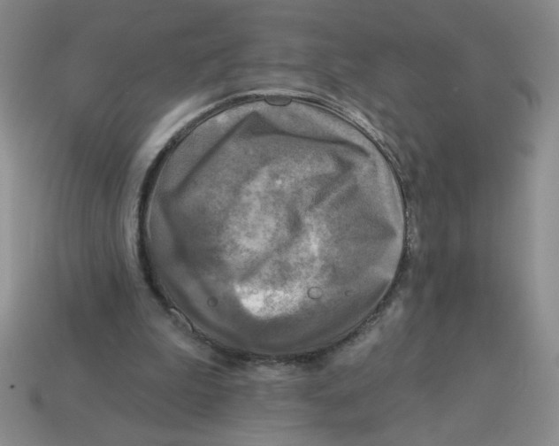 X0000113340199200910131225
