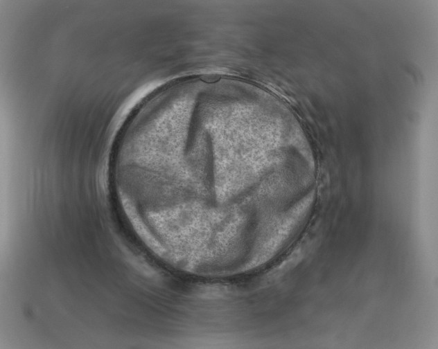 X0000113340200200910131225