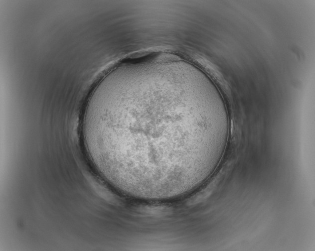 X0000113340201200910131225