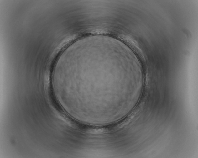 X0000113340202200910131225