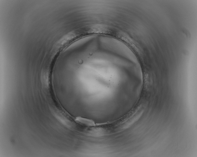 X0000113340203200910131225