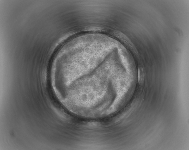X0000113340204200910131225