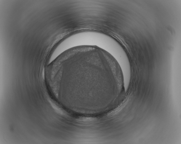 X0000113340205200910131225