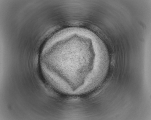 X0000113340206200910131225