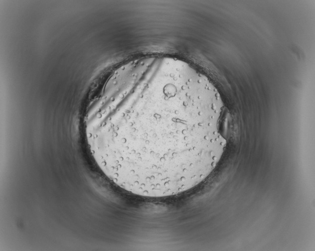 X0000113340207200910131225