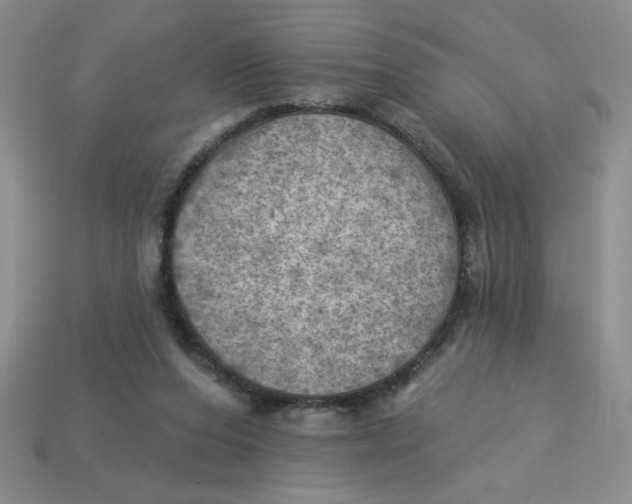 X0000113340208200910131225
