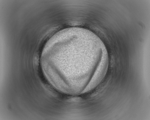 X0000113340210200910131225