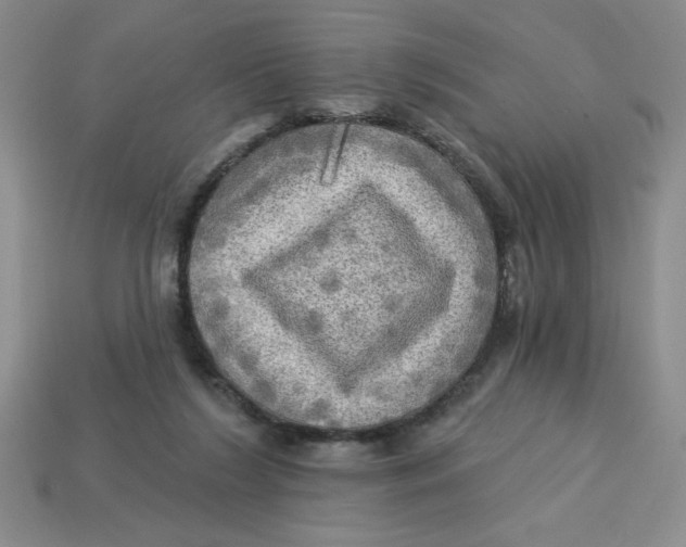 X0000113340212200910131225