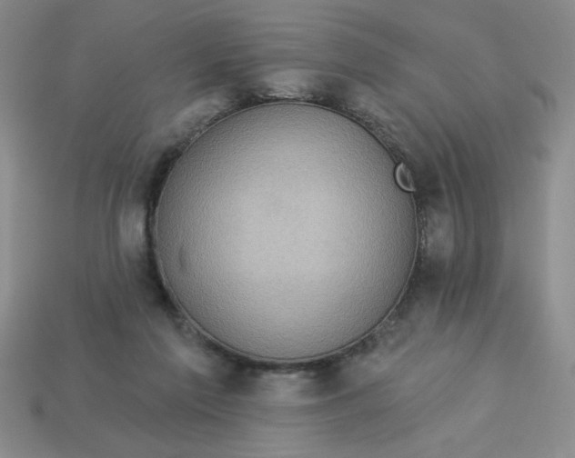 X0000113340213200910131225