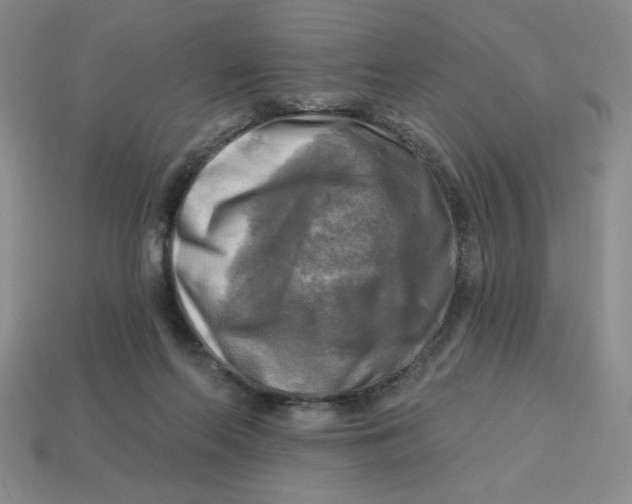 X0000113340214200910131225