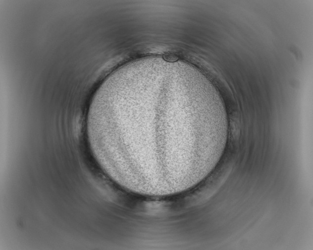 X0000113340216200910131225