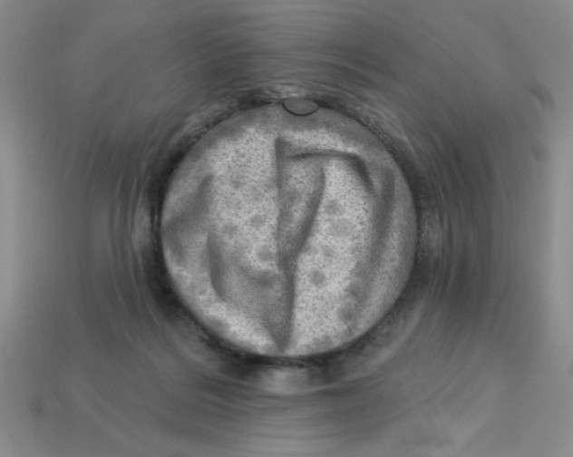 X0000113340220200910131225