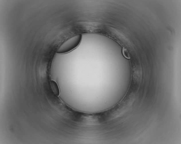 X0000113340221200910131225