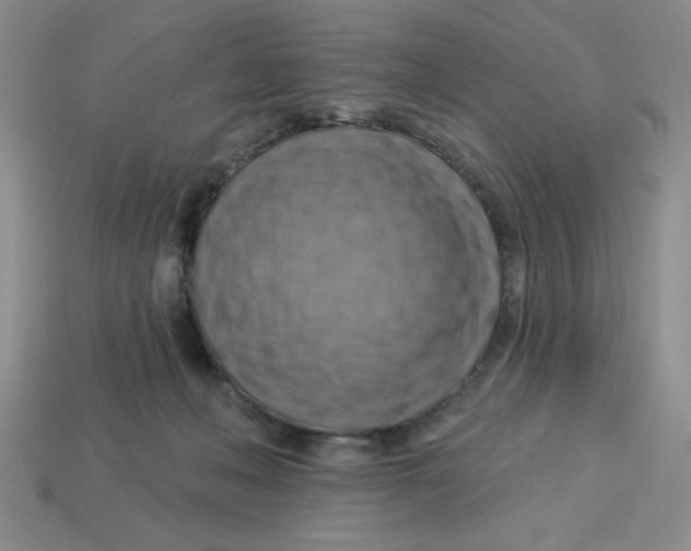 X0000113340222200910131225
