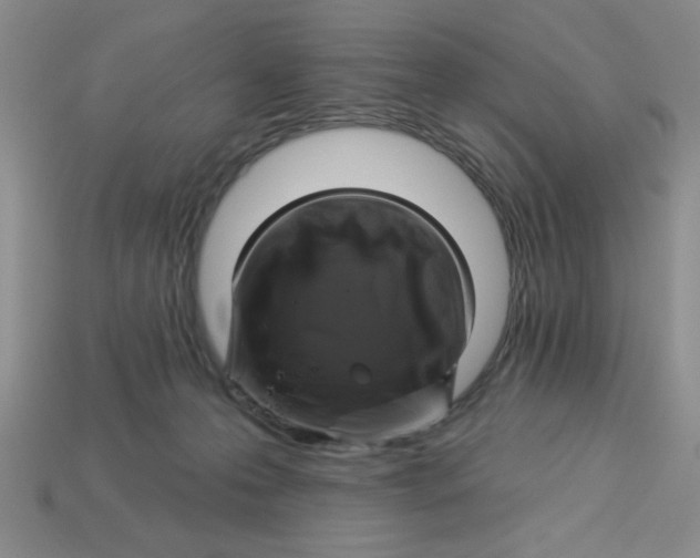 X0000113340223200910131225
