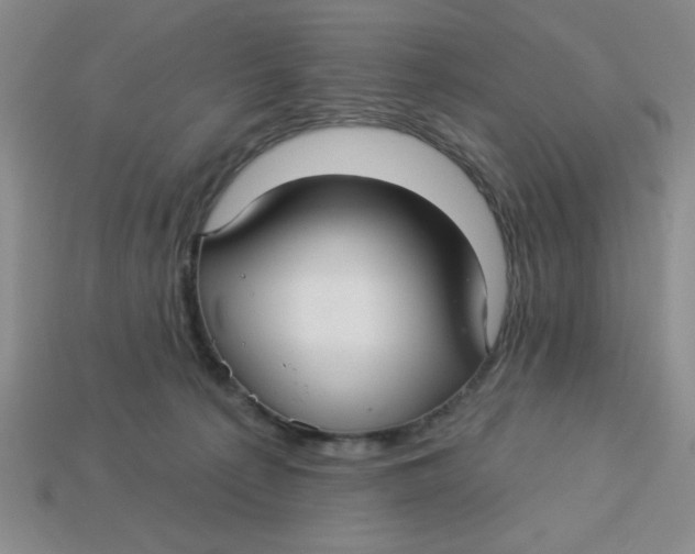 X0000113340225200910131225