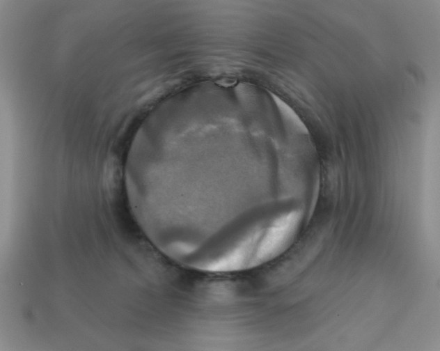 X0000113340228200910131225