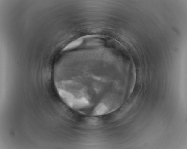 X0000113340230200910131225