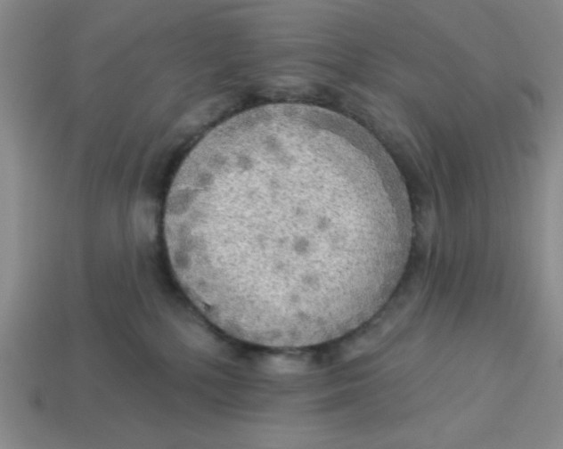 X0000113340232200910131225