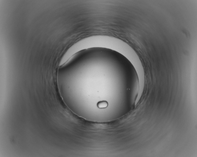 X0000113340233200910131225