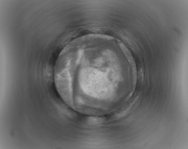 X0000113340234200910131225