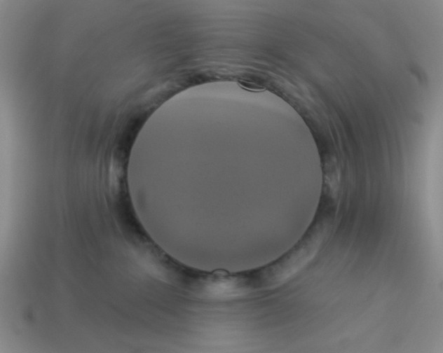 X0000113340235200910131225