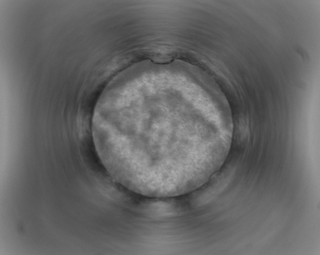 X0000113340236200910131225