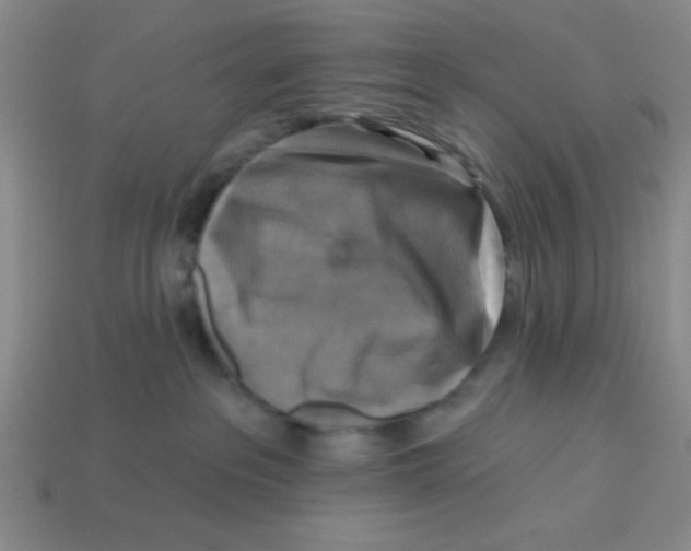 X0000113340237200910131225