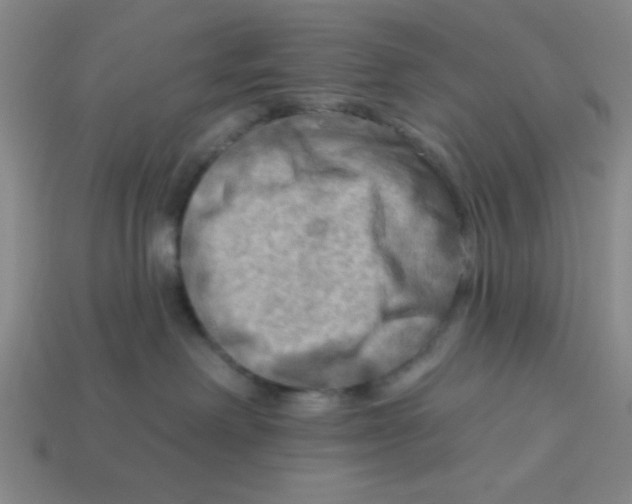 X0000113340238200910131225