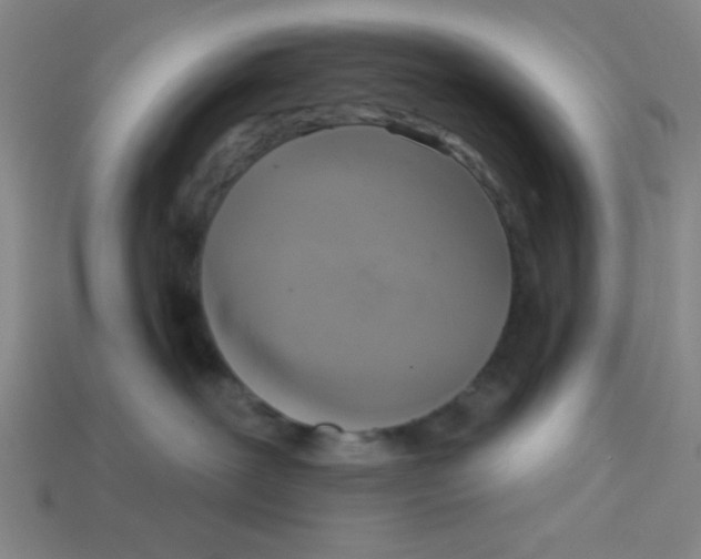 X0000113340239200910131225