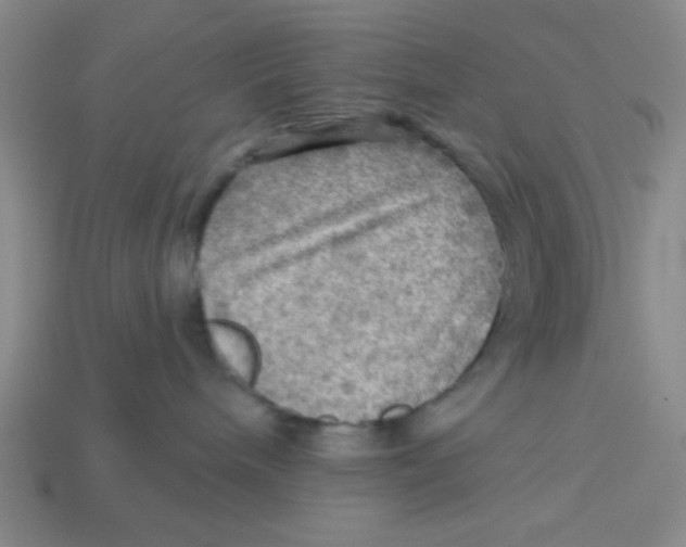 X0000113340240200910131225