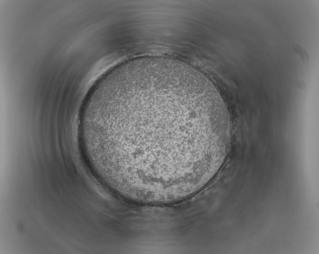X0000113340242200910131224