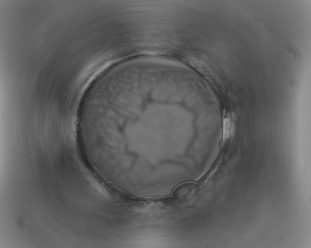 X0000113340243200910131224