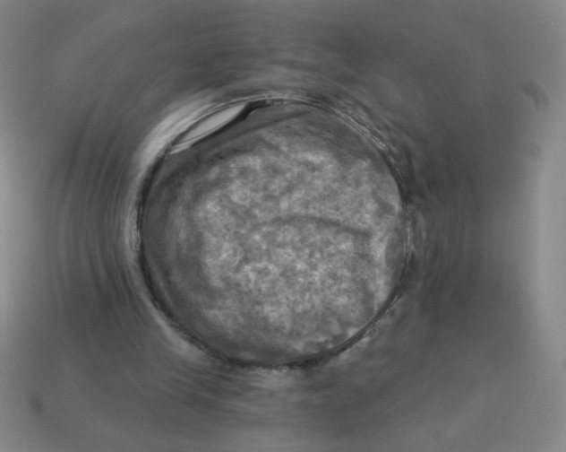 X0000113340245200910131224