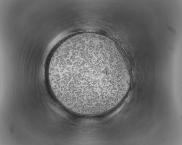 X0000113340246200910131224