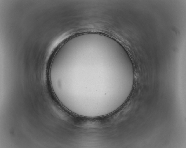X0000113340248200910131224
