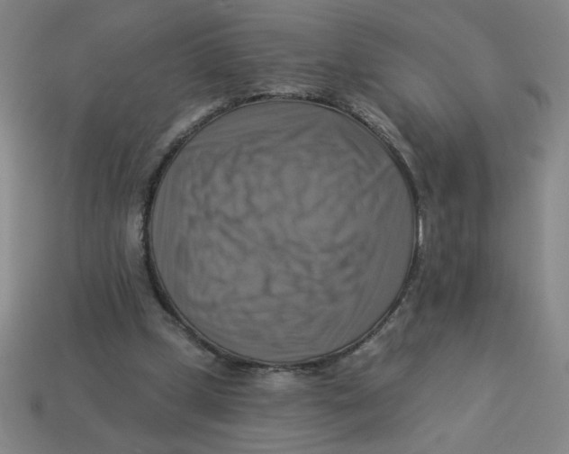 X0000113340249200910131224