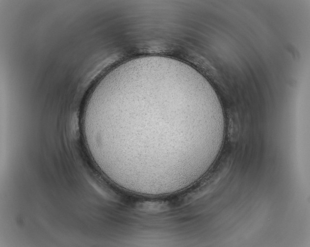 X0000113340251200910131224