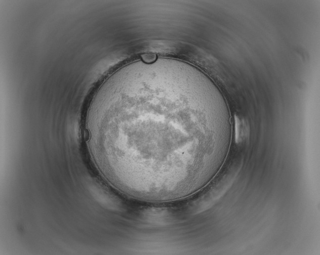 X0000113340252200910131224