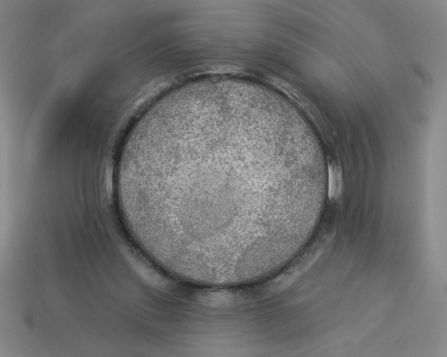 X0000113340253200910131224