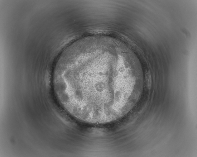 X0000113340255200910131224