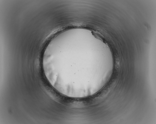 X0000113340256200910131224